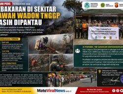 Kebakaran di Sekitar Kawah Wadon TNGGP Masih Dipantau, Tim Gabungan Temukan Titik Panas